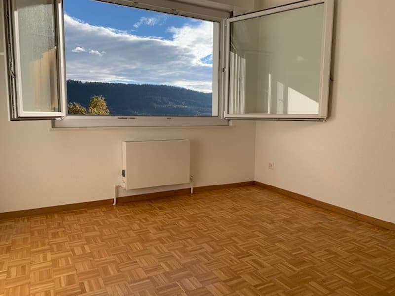 Appartement 2 pièces complètement rénové avec balcon (5)