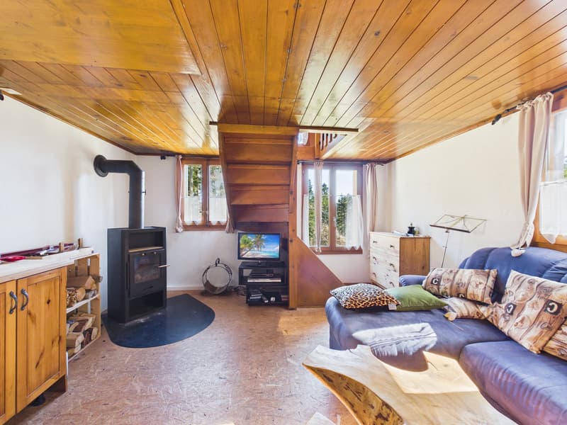 Sehr seltenes Objekt - Bergchalet mit Komfort in der Jura-Kette (5)