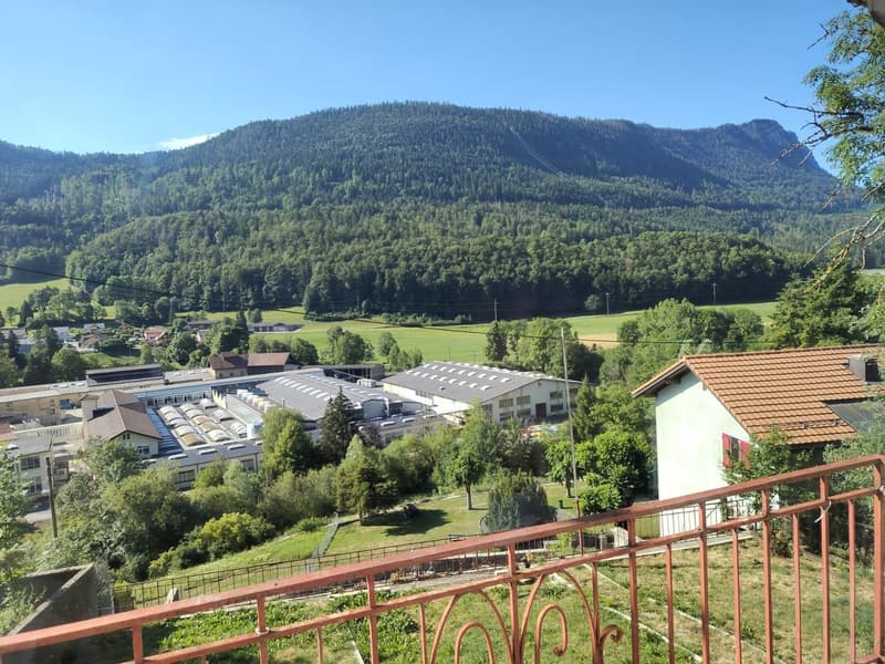 Incantevole appartamento di 4.5 locali a Vallorbe – disponibile immediatamente (5)