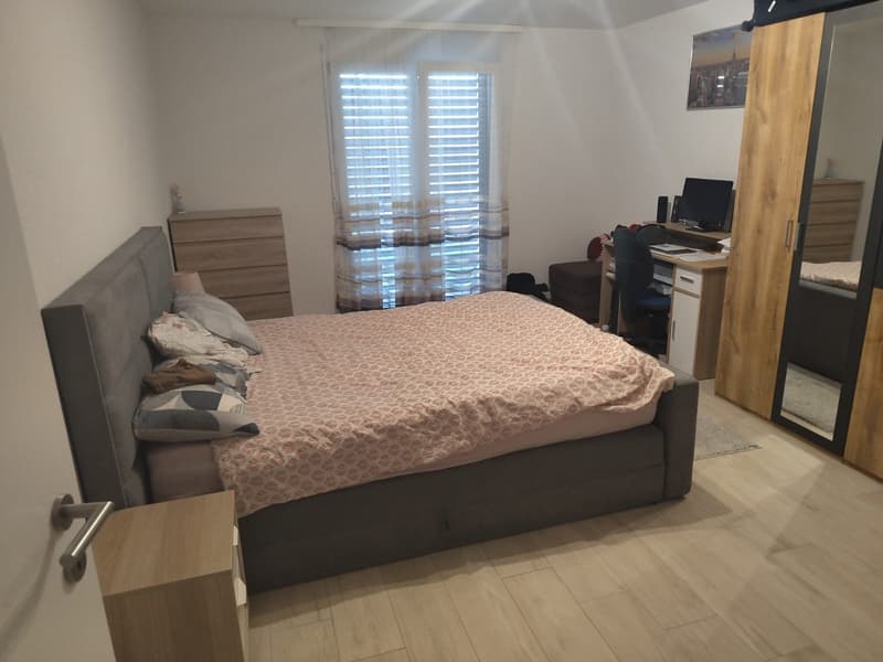 Appartement neu mit großer Terrasse am Waldrand. (7)