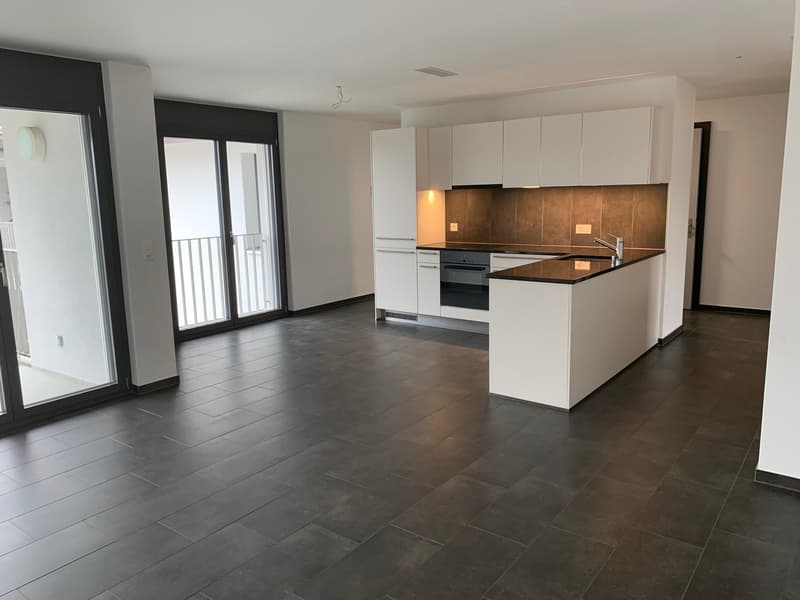 Appartement 4,5 pièces (3)