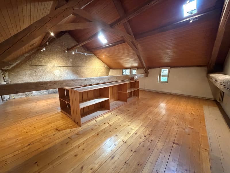 Galerie/local/atelier (8)