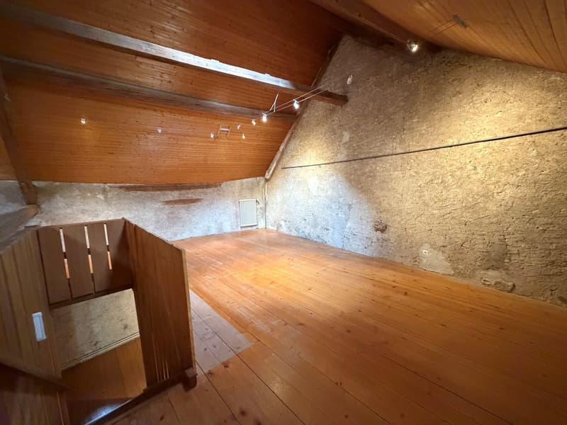 Galerie/local/atelier (10)