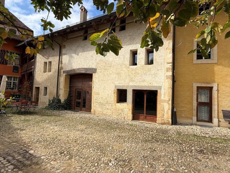 Galerie/local/atelier (2)