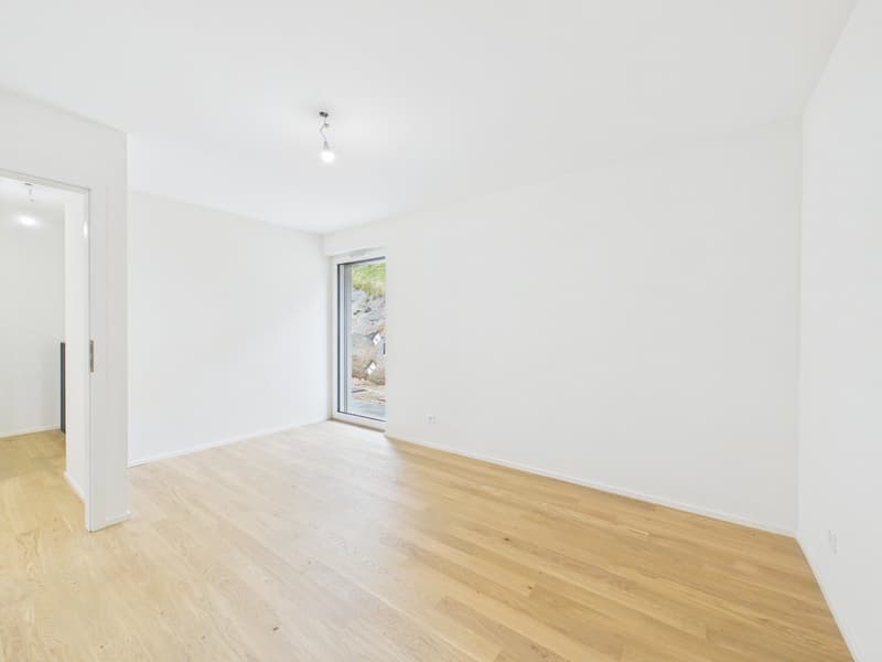 DERNIÈRE VILLA DISPONIBLE à Vallorbe (9)