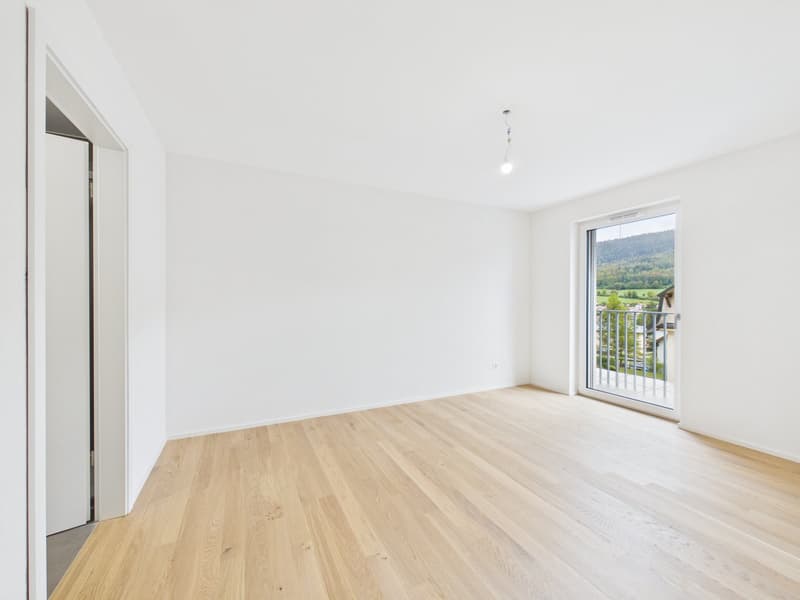 DERNIÈRE VILLA DISPONIBLE à Vallorbe (11)