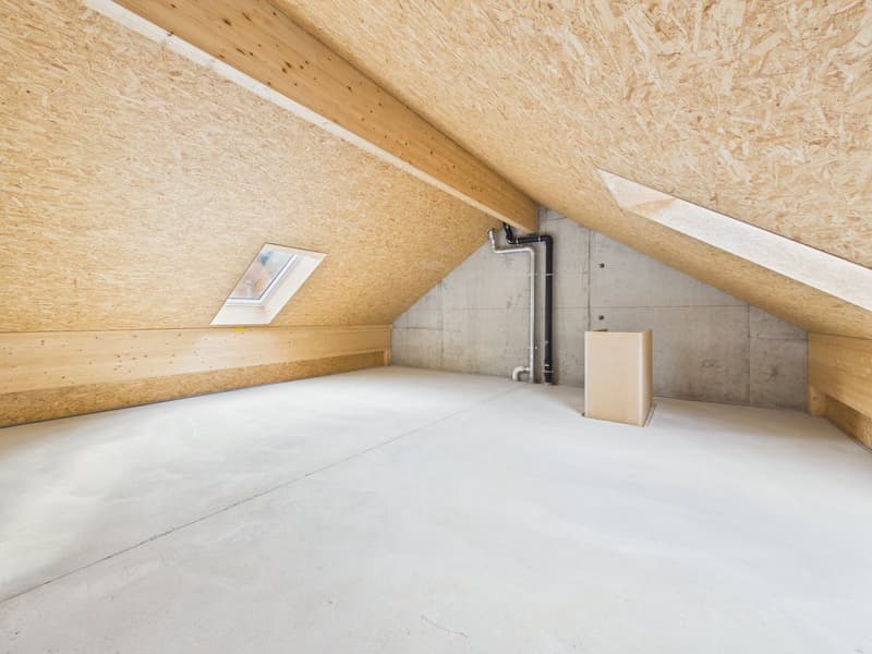 DERNIÈRE VILLA DISPONIBLE à Vallorbe (13)