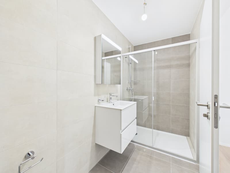 DERNIÈRE VILLA DISPONIBLE à Vallorbe (12)