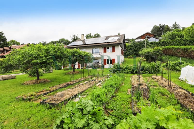 Casa familiare di lusso con SPA privato (9)