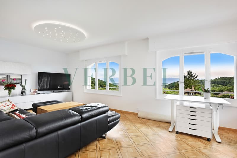Casa familiare di lusso con SPA privato (3)