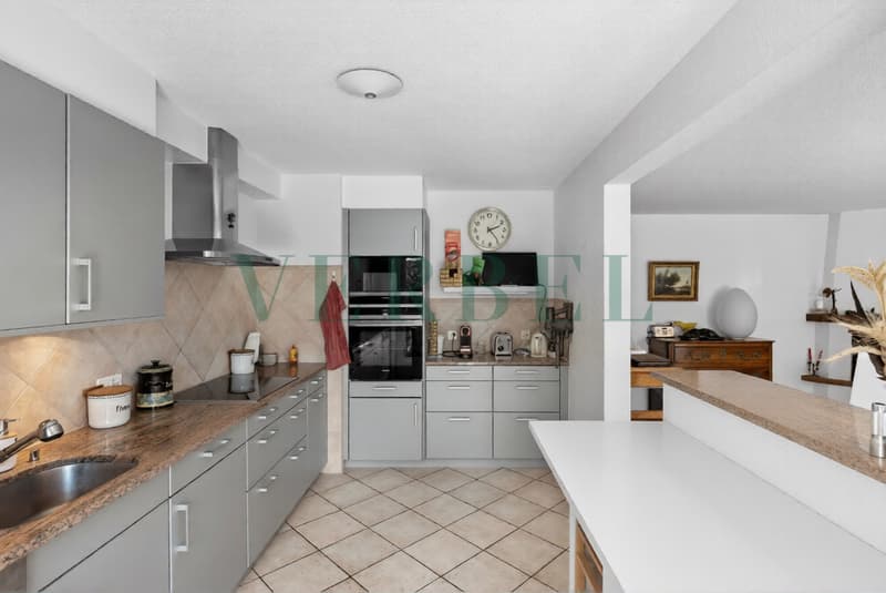 Meraviglioso appartamento di 4.5 locali a giardino/vendita in vitalizio (3)