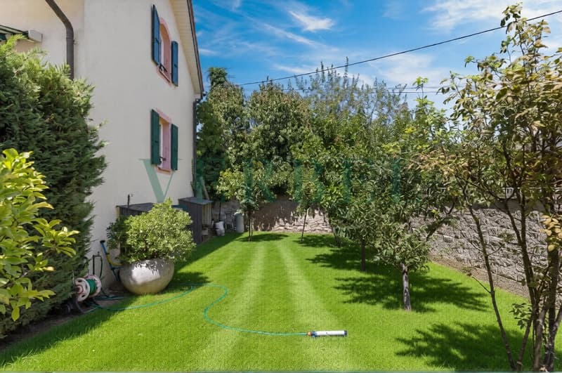 Magnifica casa di 6.5 locali (3)