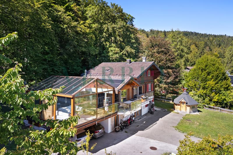 Villa-chalet : un cadre d'exception entre lac et montagnes (2)