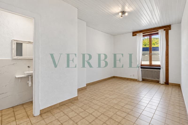 Magasin avec bureau au coeur du village (10)