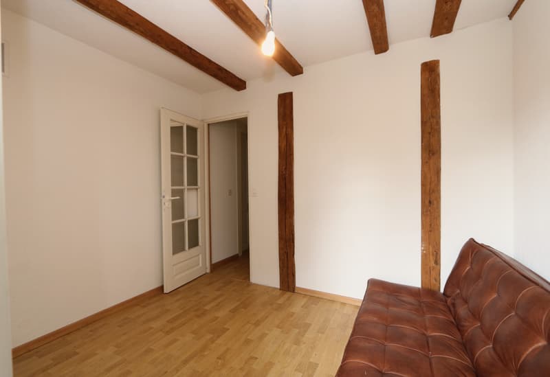 Appartement partiellement meublé de 1 pièces à Chêne-Bourg (2)