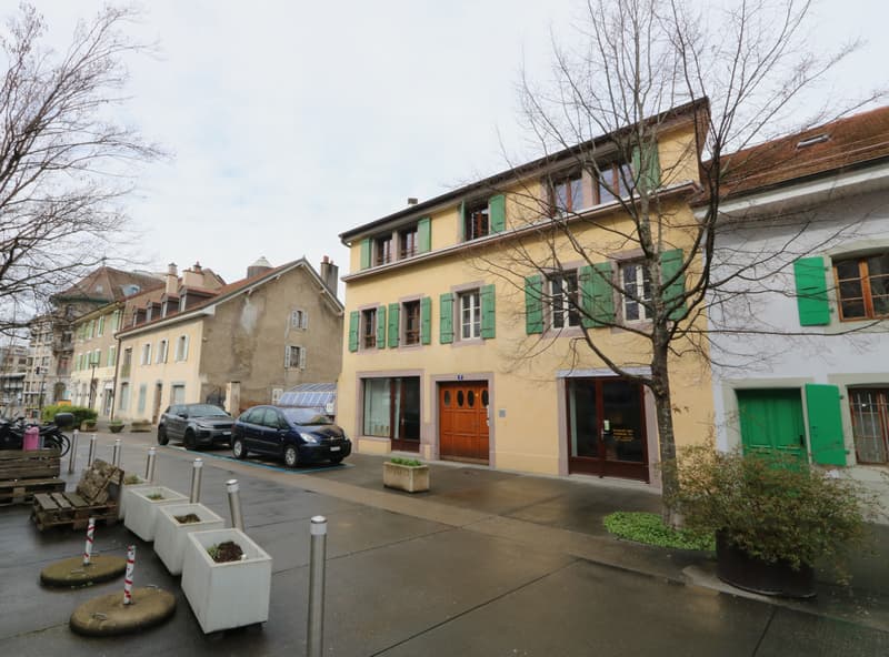 Appartement partiellement meublé de 1 pièces à Chêne-Bourg (8)