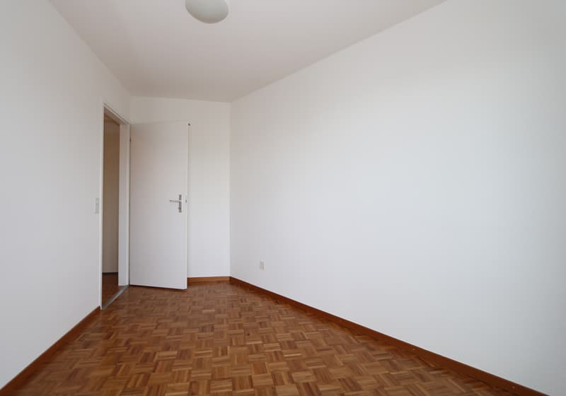 5-room attic apartment with mezzanine and terrace in Thônex (5)
