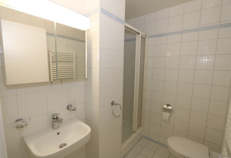 5-room attic apartment with mezzanine and terrace in Thônex (10)