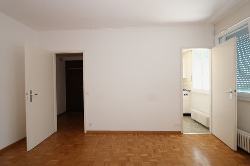 Appartamento di due locali a Plainpalais (4)
