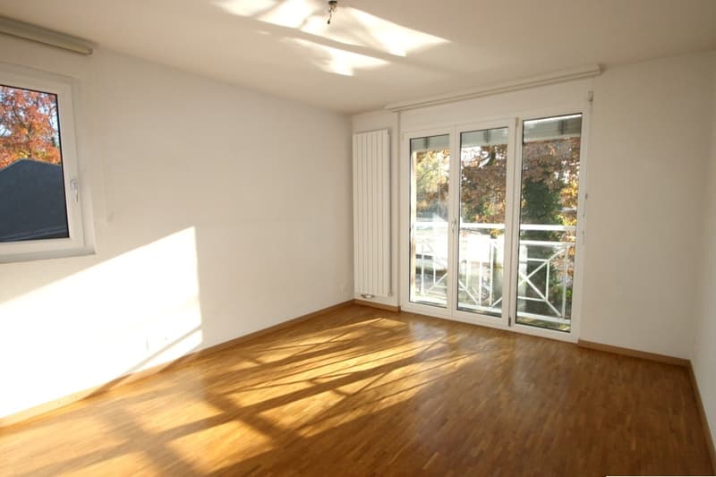 Villa a schiera di 6 locali con terrazza e giardino a Bellevue (5)
