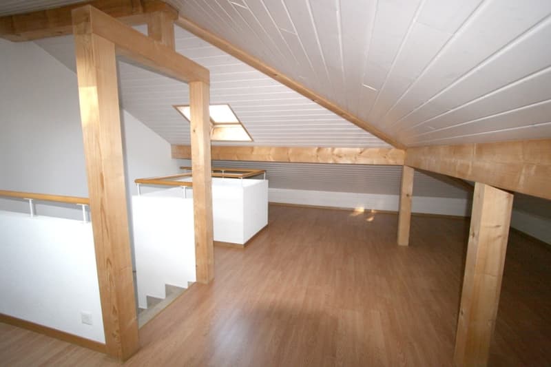 Villa a schiera di 6 locali con terrazza e giardino a Bellevue (7)