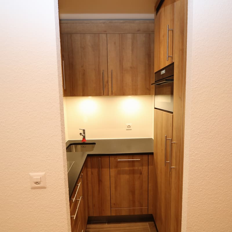 Appartamento di 2,5 locali con balcone a Champel-Florissant (5)