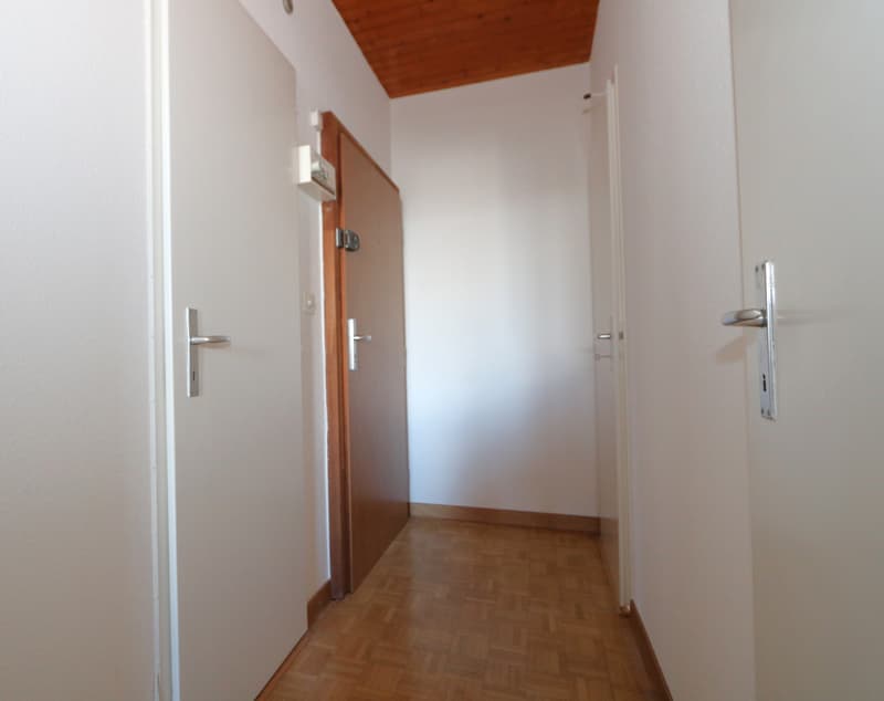 Appartement de 3 pièces à Plainpalais (6)