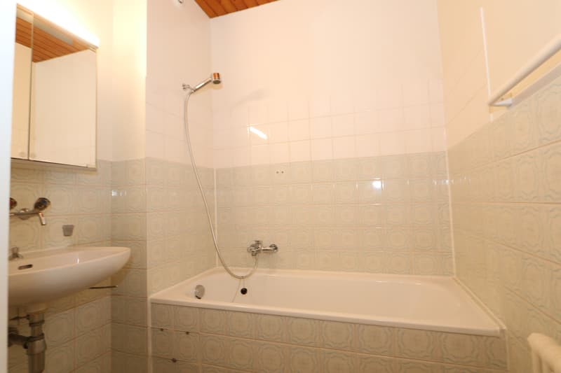 Appartement de 3 pièces à Plainpalais (5)