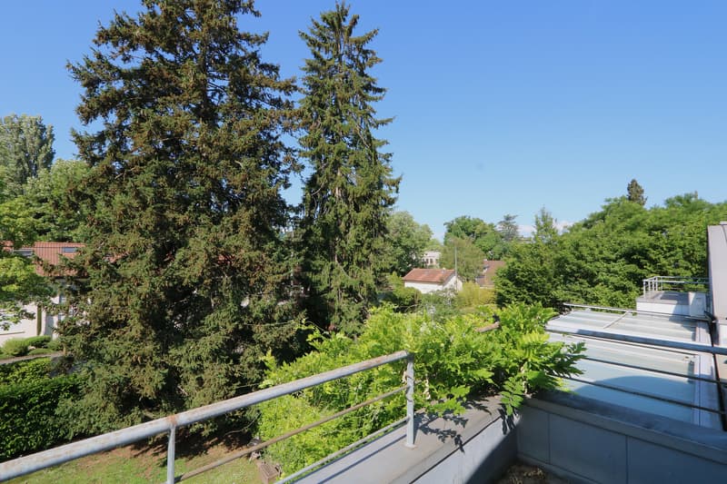 Appartamento duplex di 6 locali in attico a Chêne-Bougeries (9)
