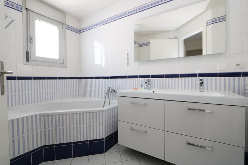 Appartamento duplex di 6 locali in attico a Chêne-Bougeries (4)