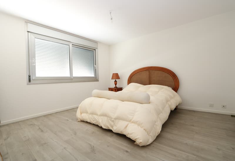 Appartamento duplex di 6 locali in attico a Chêne-Bougeries (6)