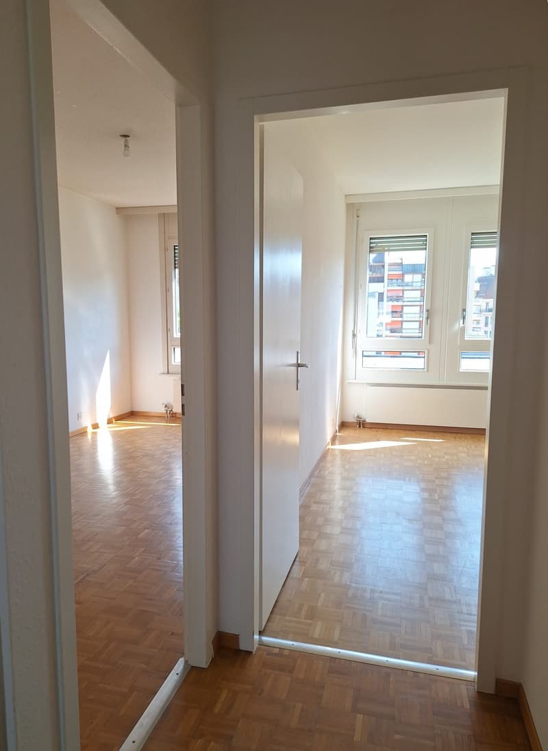 Appartamento di quattro locali con balcone a Plainpalais (9)