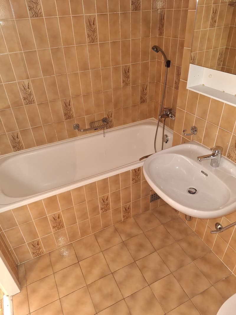 Appartamento di quattro locali con balcone a Plainpalais (10)