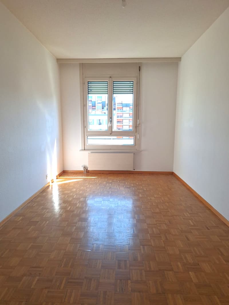 Appartamento di quattro locali con balcone a Plainpalais (6)
