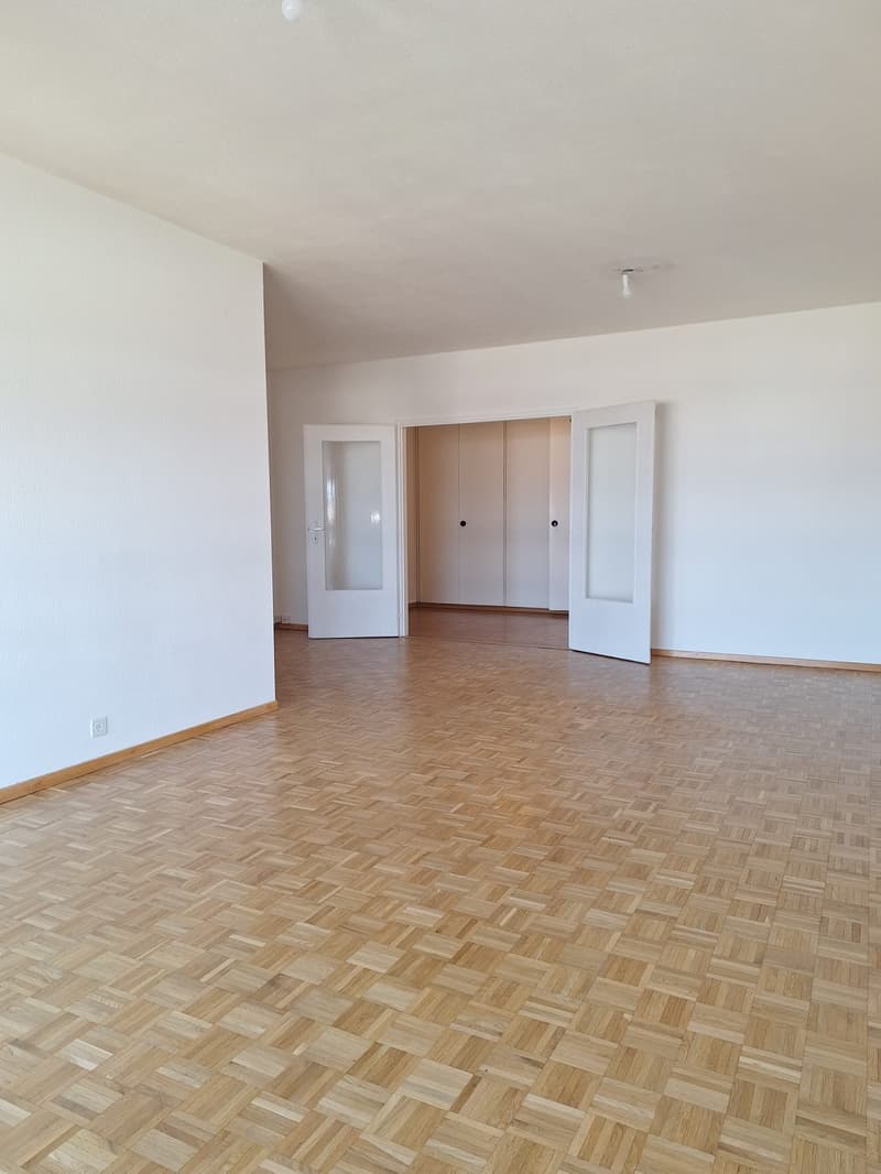 Appartamento di quattro locali con balcone a Plainpalais (2)