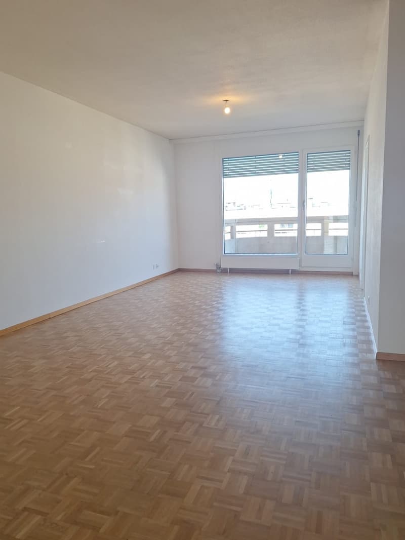 Appartamento di quattro locali con balcone a Plainpalais (3)