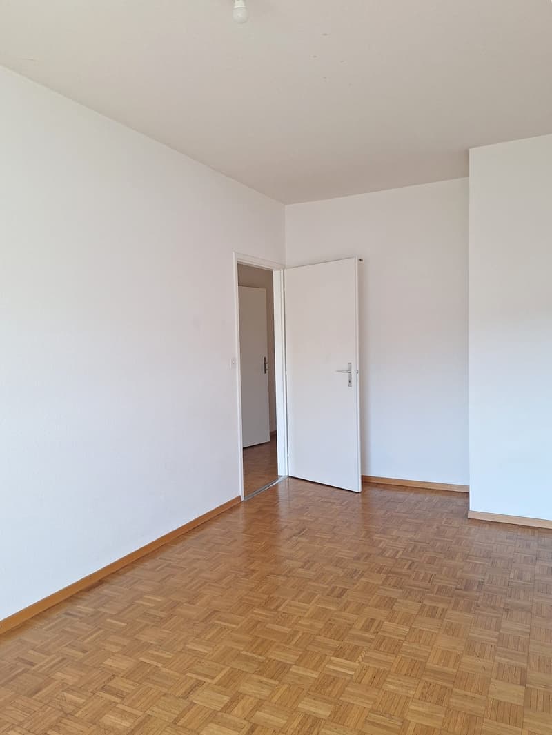 Appartamento di quattro locali con balcone a Plainpalais (7)