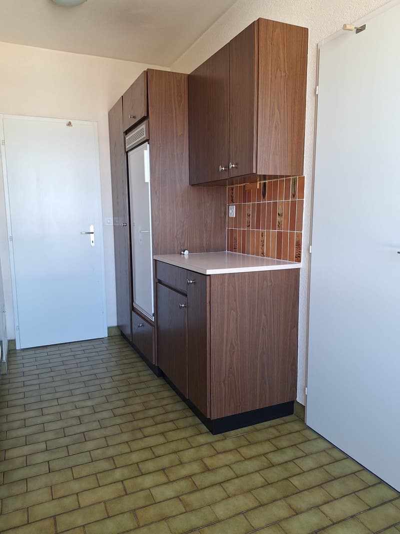Appartamento di quattro locali con balcone a Plainpalais (4)