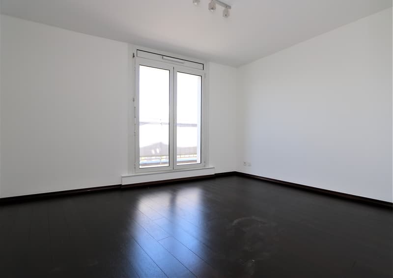 Appartamento duplex in attico con 4,5 locali, balcone e terrazza sulla copertura ad Acacias (3)