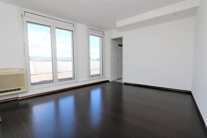 Appartamento duplex in attico con 4,5 locali, balcone e terrazza sulla copertura ad Acacias (2)
