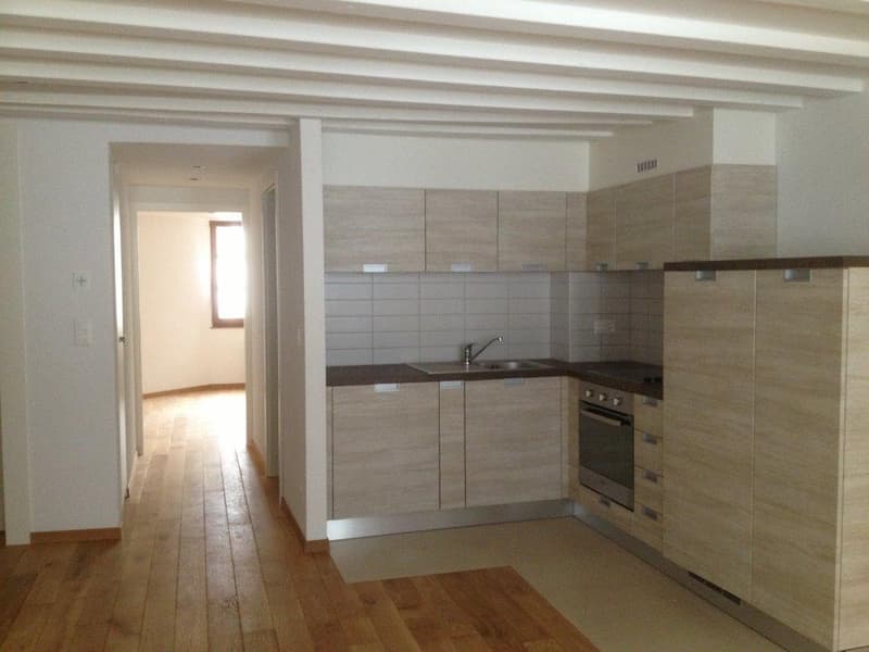 Appartamento di 2,5 locali nel centro città (3)