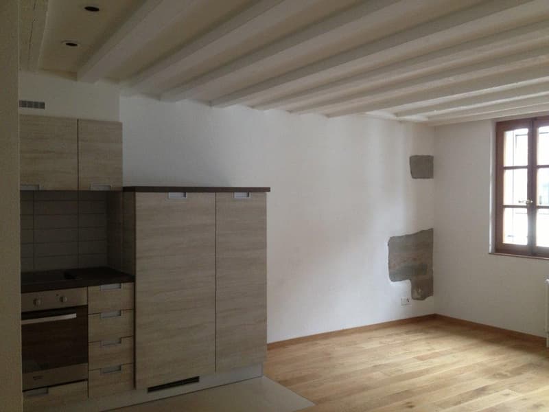 Appartamento di 2,5 locali nel centro città (2)