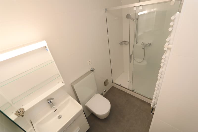 Zweizimmerwohnung in Champel (8)