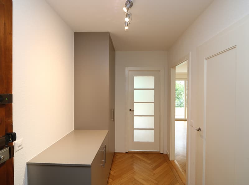 Appartamento di due e mezzo locali con balcone a Champel-Florissant (7)