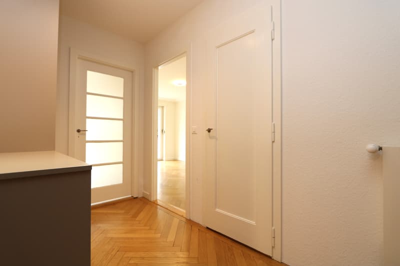 Appartamento di due e mezzo locali con balcone a Champel-Florissant (4)