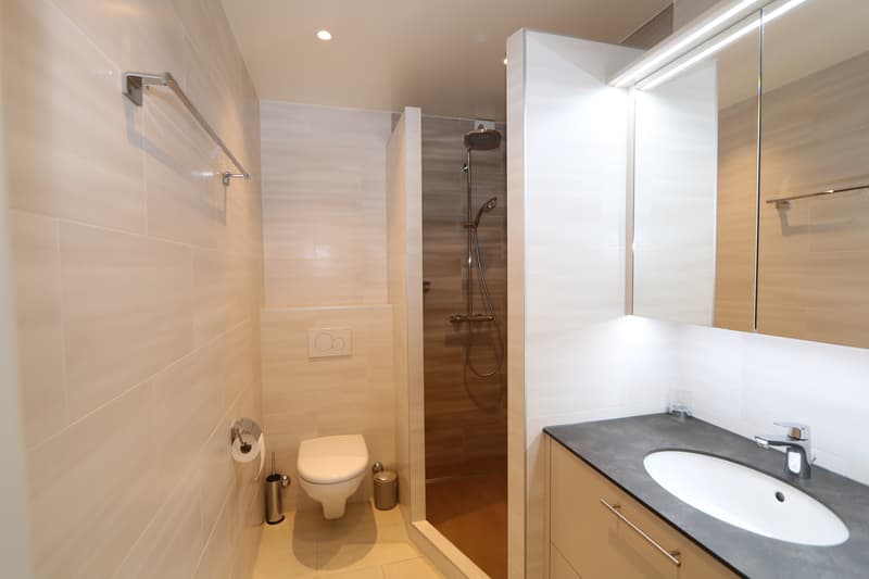 Appartamento di due e mezzo locali con balcone a Champel-Florissant (9)