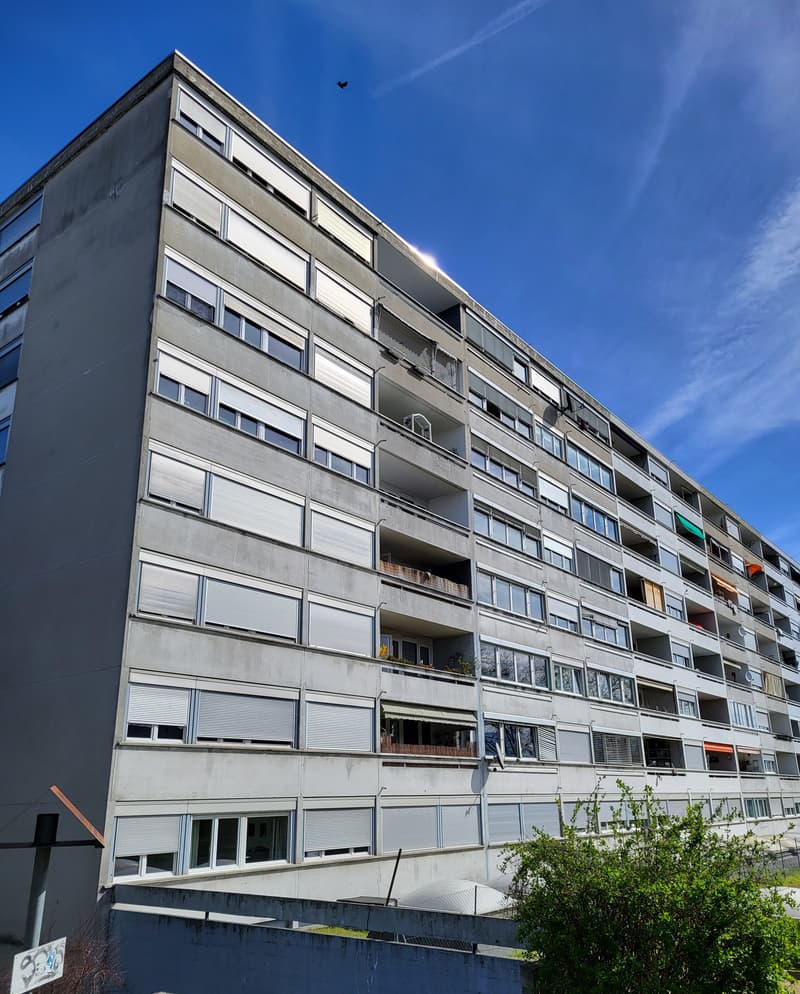 Wohnung mit 5 Zimmern und Balkon in Vernier (1)
