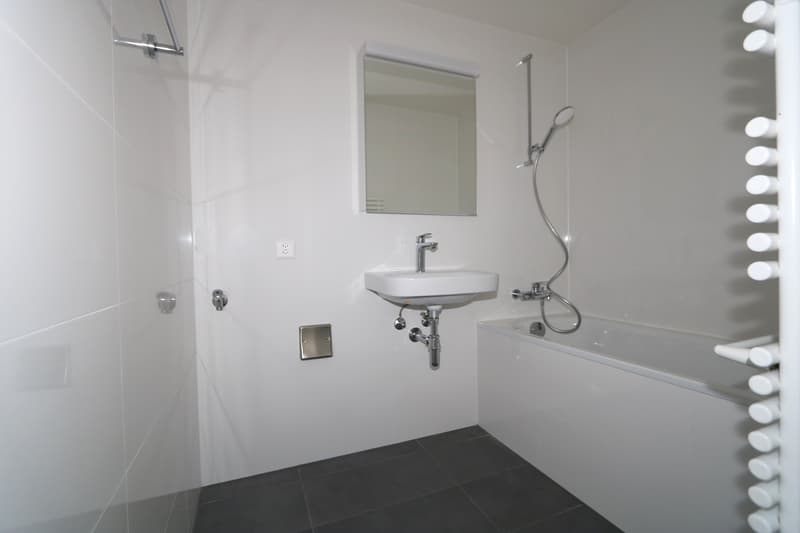 Appartement traversant de 5 pièces avec Loggia (9)