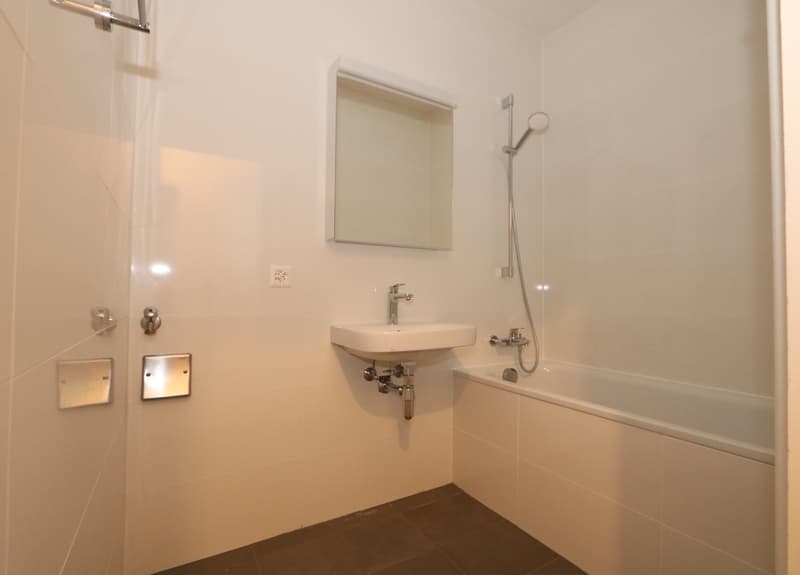 Appartement traversant de 5 pièces avec Loggia à Vernier (11)