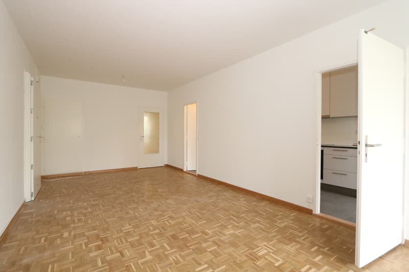 Appartement traversant de 5 pièces avec Loggia à Vernier (1)